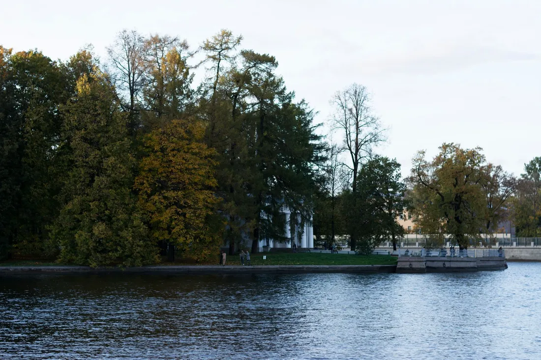 Seeufer mit Bäumen und ruhigem Wasser bei Tageslicht